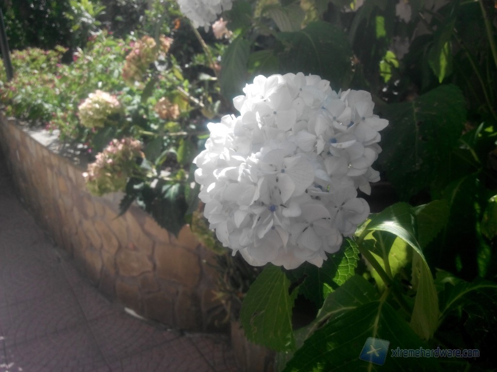 IMG 20130904 133905 Medium